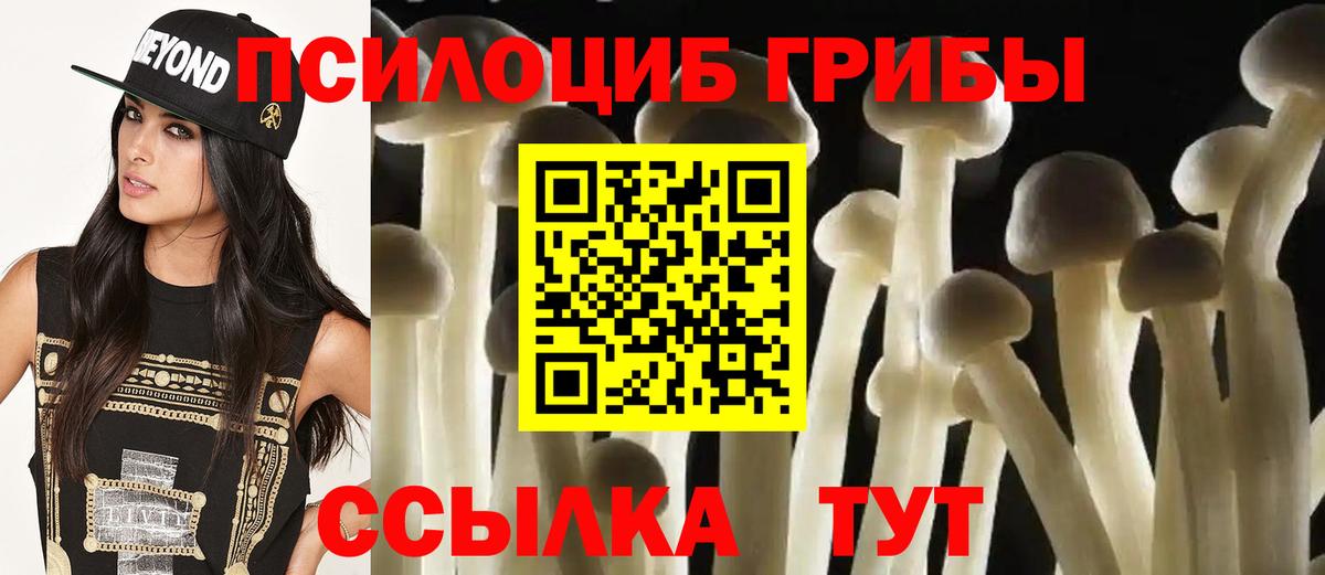 Вятские Поляны  Галлюциногенные грибы ЛСД  Вход с VPN 
